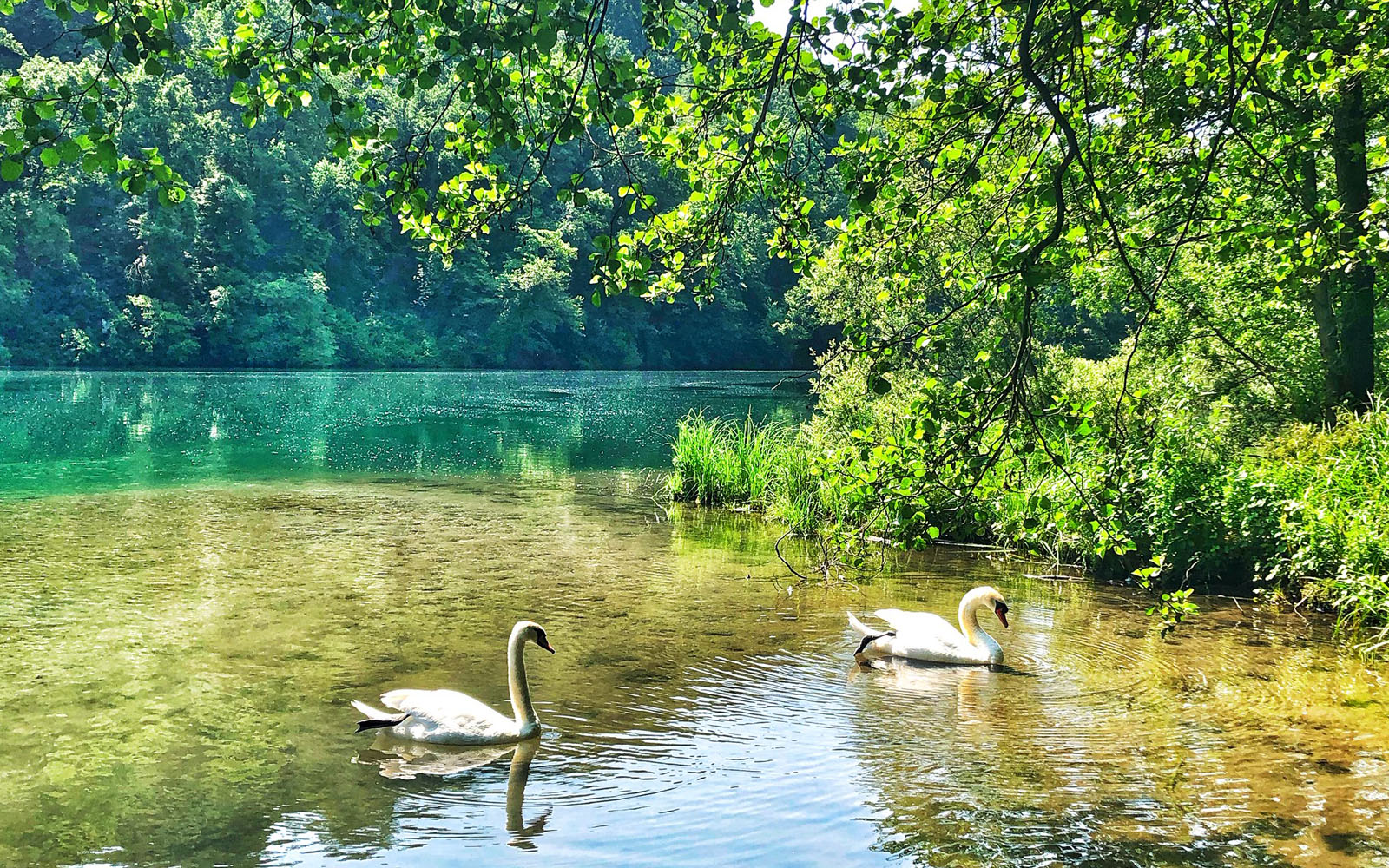 Itinerario lungo l’Adda, tra Natura e opere d'ingegneria | oltreilbalcone